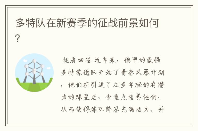 多特队在新赛季的征战前景如何?