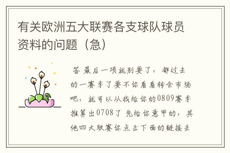 有关欧洲五大联赛各支球队球员资料的问题(急)