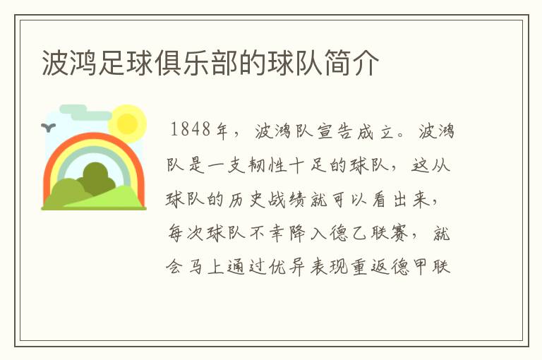 波鸿足球俱乐部的球队简介