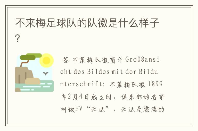 不来梅足球队的队徽是什么样子?