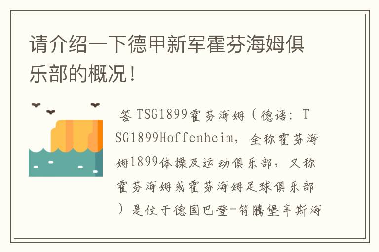 请介绍一下德甲新军霍芬海姆俱乐部的概况!