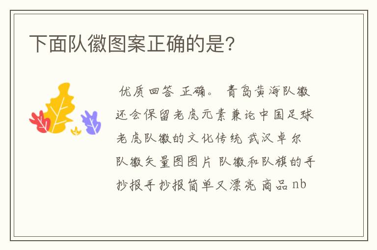 下面队徽图案正确的是?