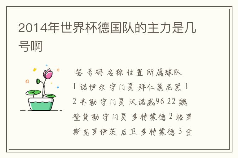 2014年世界杯德国队的主力是几号啊