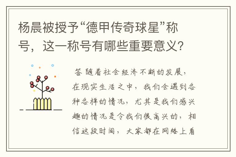杨晨被授予“德甲传奇球星”称号,这一称号有哪些重要意义?