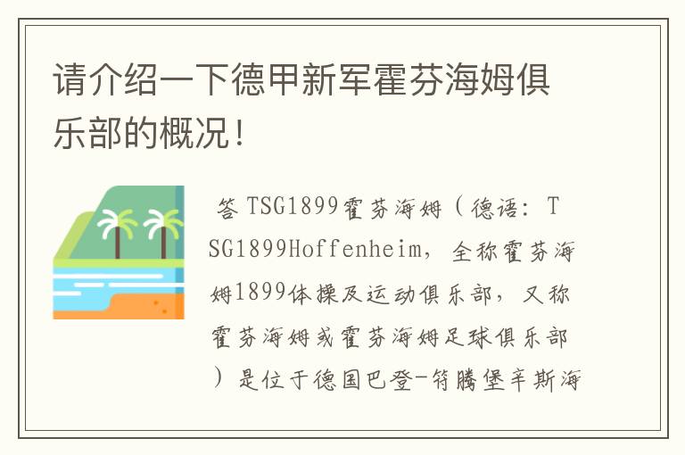 请介绍一下德甲新军霍芬海姆俱乐部的概况!