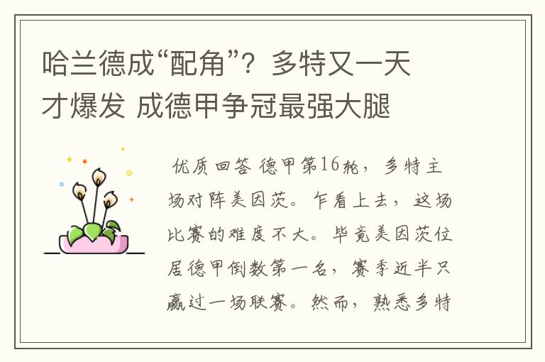 哈兰德成“配角”?多特又一天才爆发 成德甲争冠最强大腿
