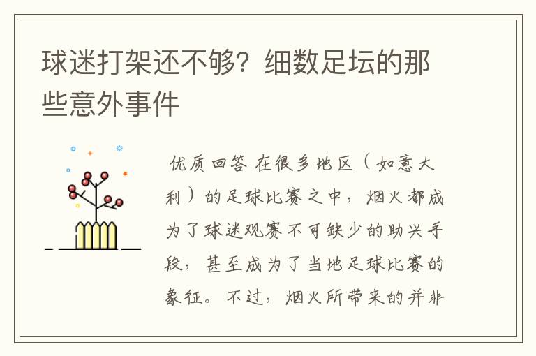 球迷打架还不够?细数足坛的那些意外事件