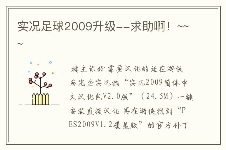 实况足球2009升级--求助啊!~~~