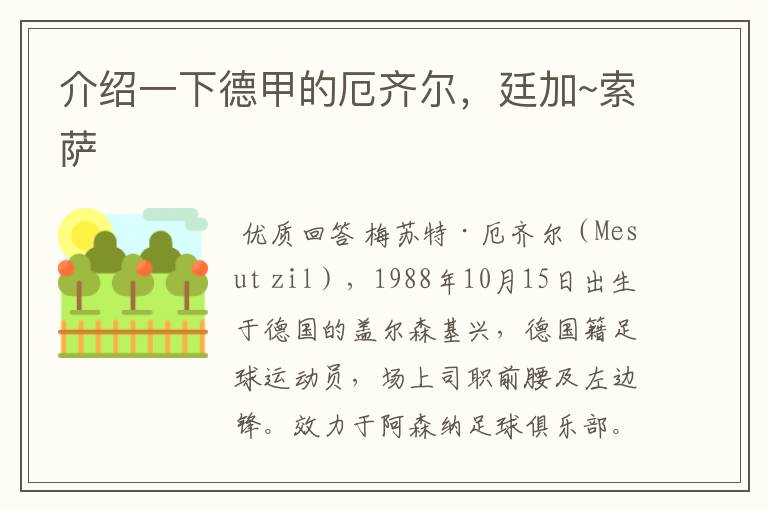 介绍一下德甲的厄齐尔,廷加~索萨