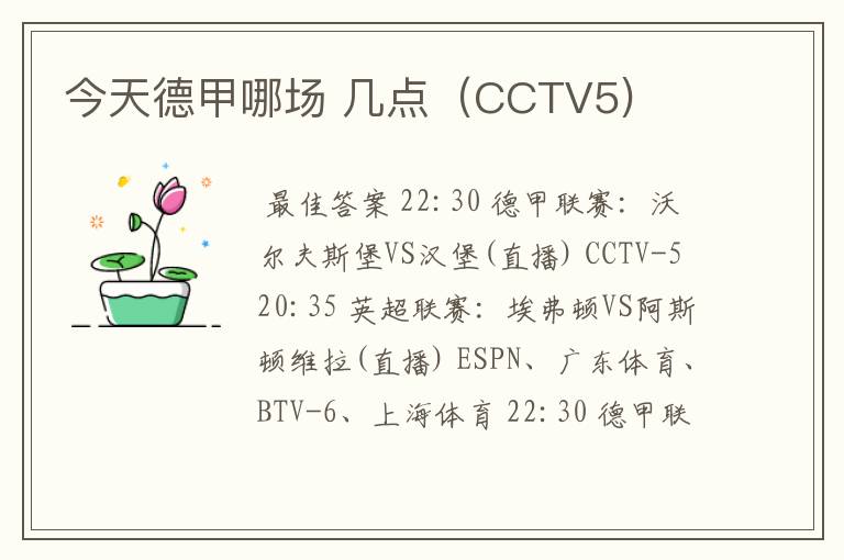 今天德甲哪场 几点(CCTV5)