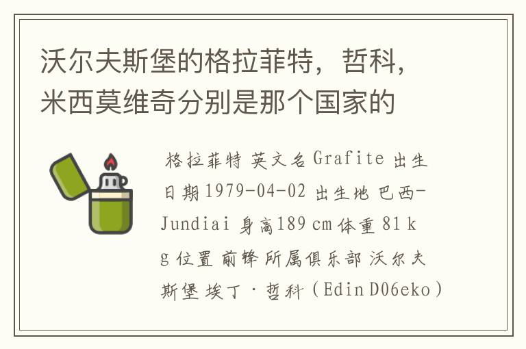 沃尔夫斯堡的格拉菲特,哲科,米西莫维奇分别是那个国家的