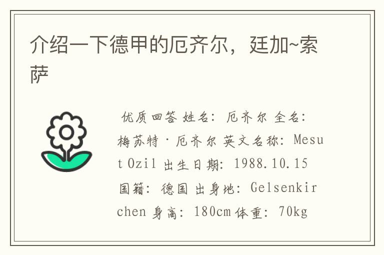 介绍一下德甲的厄齐尔,廷加~索萨