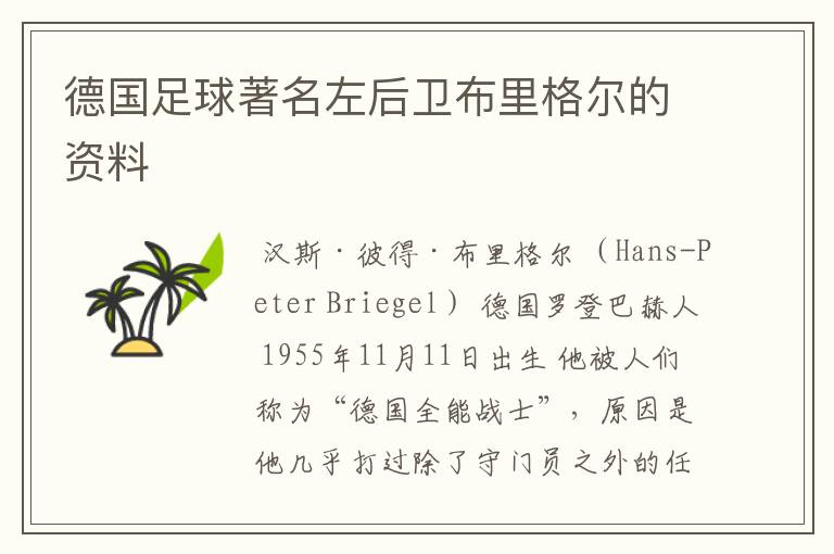 德国足球著名左后卫布里格尔的资料