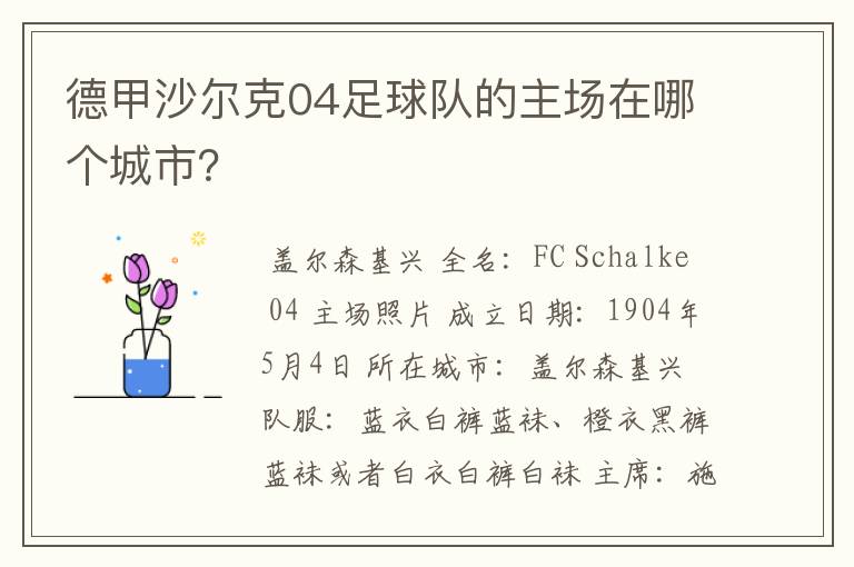 德甲沙尔克04足球队的主场在哪个城市?