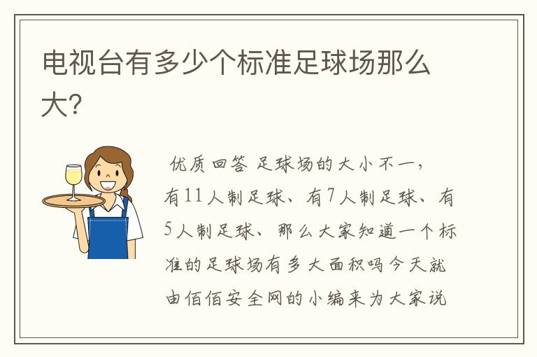 电视台有多少个标准足球场那么大?