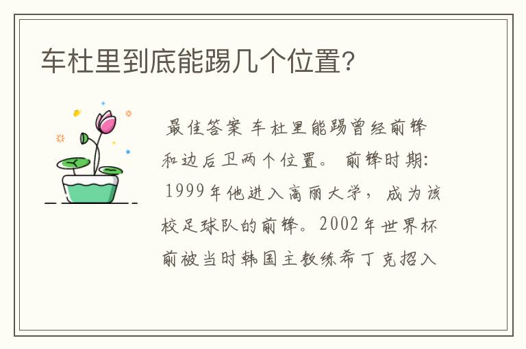 车杜里到底能踢几个位置?