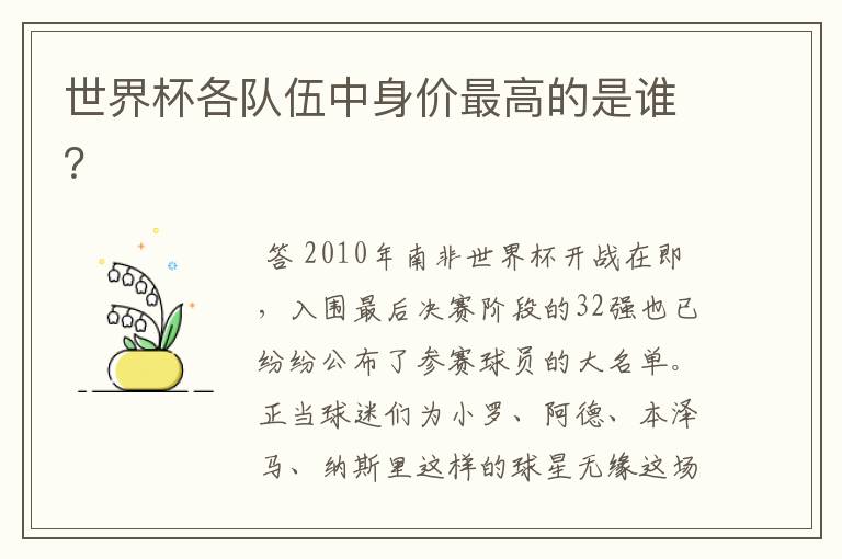 世界杯各队伍中身价最高的是谁?
