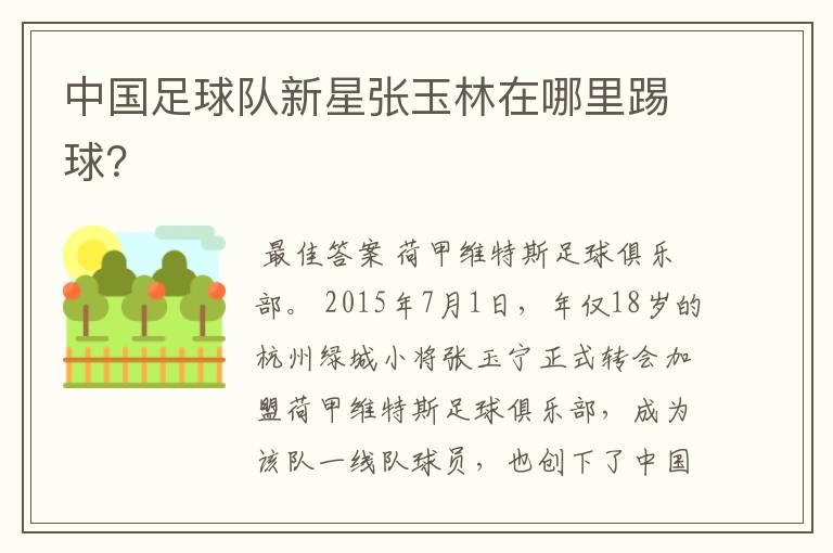 中国足球队新星张玉林在哪里踢球?