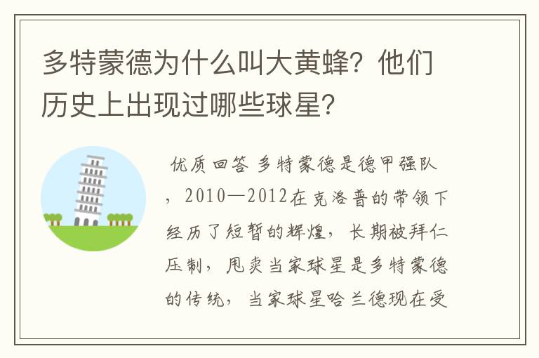 多特蒙德为什么叫大黄蜂?他们历史上出现过哪些球星?