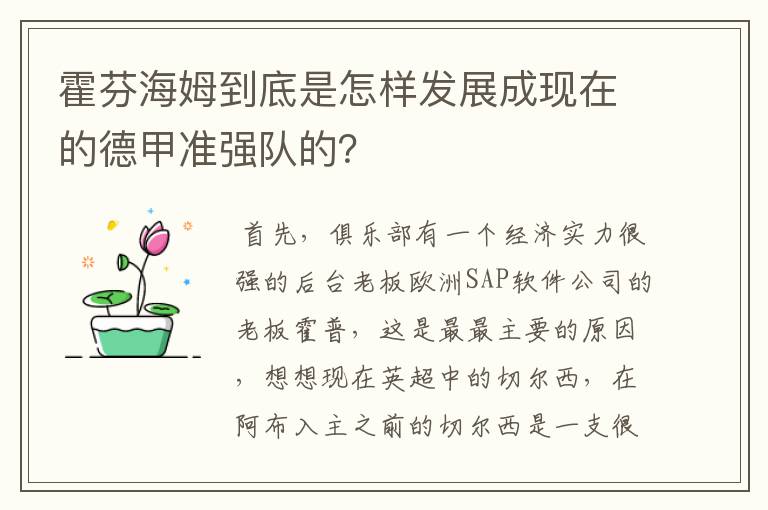 霍芬海姆到底是怎样发展成现在的德甲准强队的?