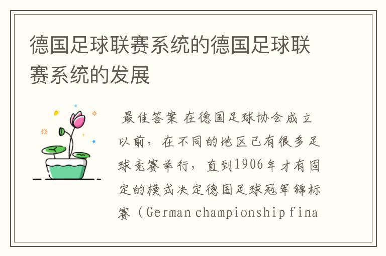 德国足球联赛系统的德国足球联赛系统的发展