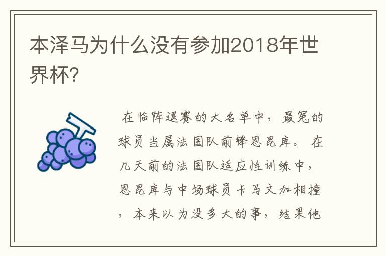 本泽马为什么没有参加2018年世界杯?