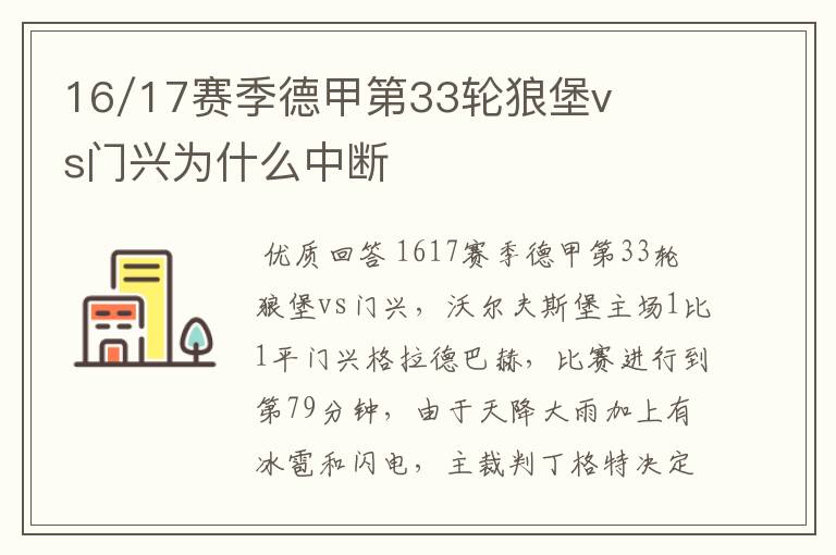 16/17赛季德甲第33轮狼堡vs门兴为什么中断