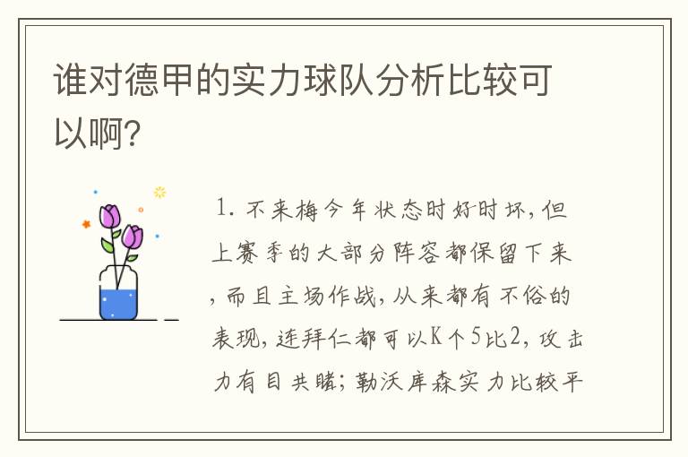 谁对德甲的实力球队分析比较可以啊?