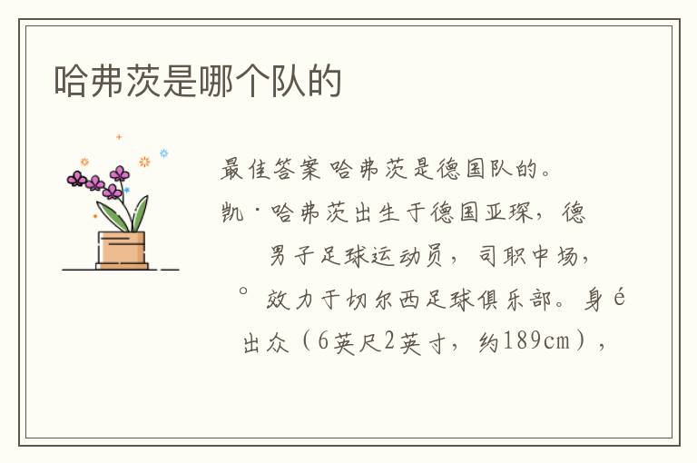 哈弗茨是哪个队的