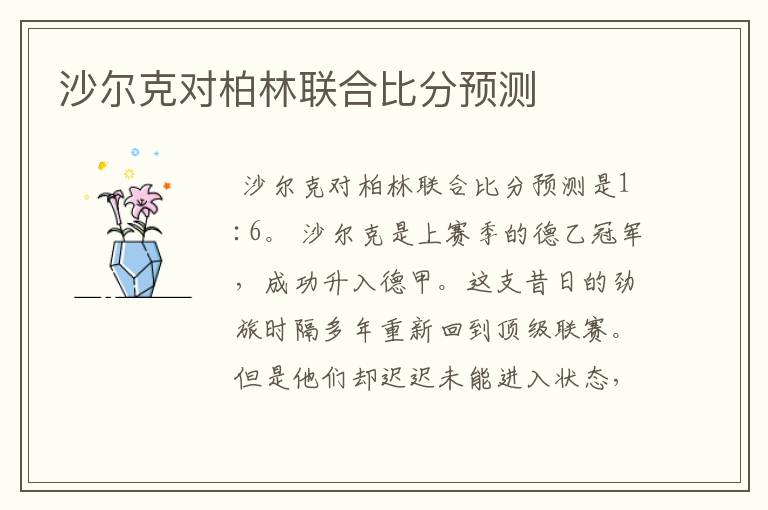 沙尔克对柏林联合比分预测