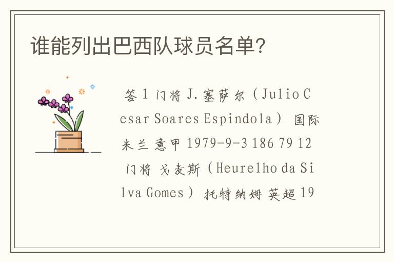 谁能列出巴西队球员名单?