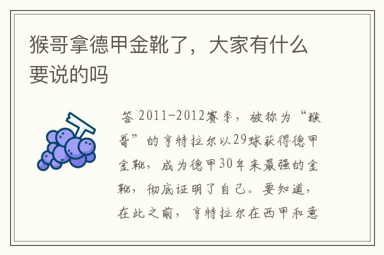 猴哥拿德甲金靴了,大家有什么要说的吗