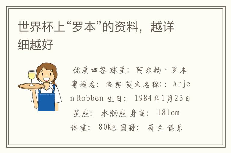 世界杯上“罗本”的资料,越详细越好