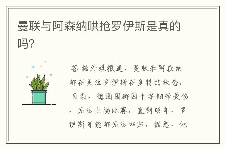 曼联与阿森纳哄抢罗伊斯是真的吗?