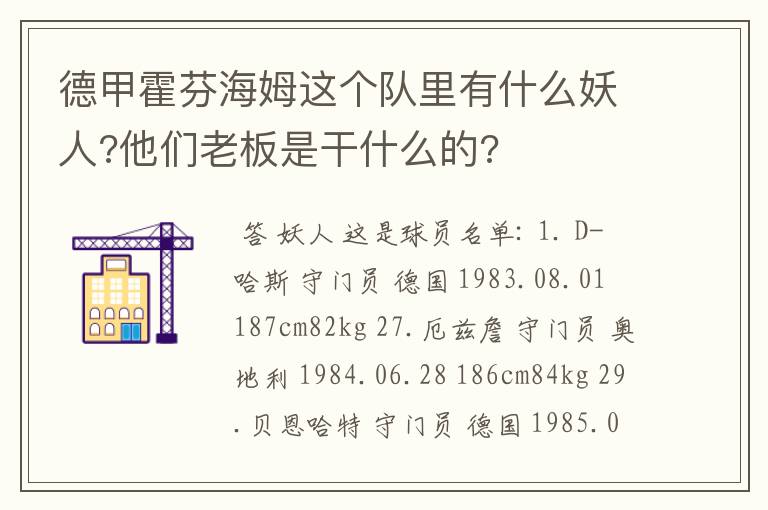 德甲霍芬海姆这个队里有什么妖人?他们老板是干什么的?