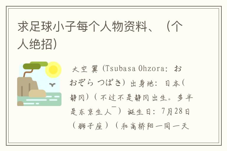 求足球小子每个人物资料、(个人绝招)