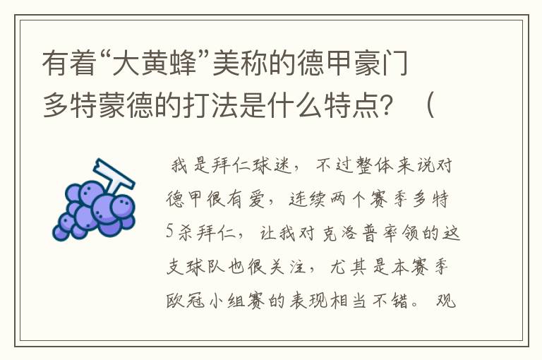 有着“大黄蜂”美称的德甲豪门多特蒙德的打法是什么特点?(请多特蒙德资深球迷回答)