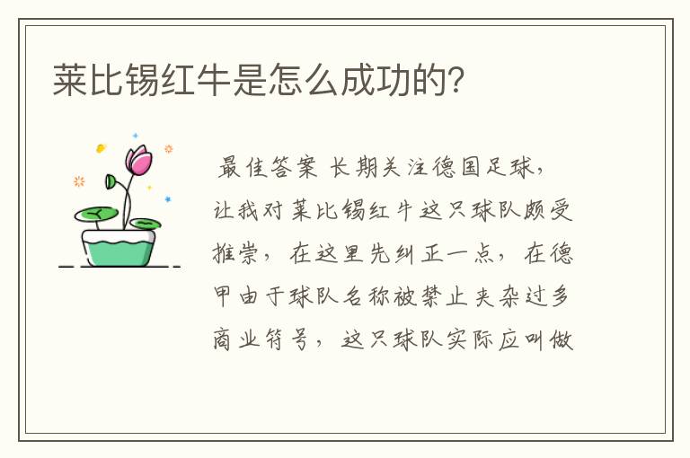 莱比锡红牛是怎么成功的?