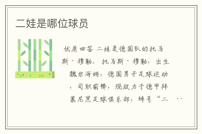 二娃是哪位球员