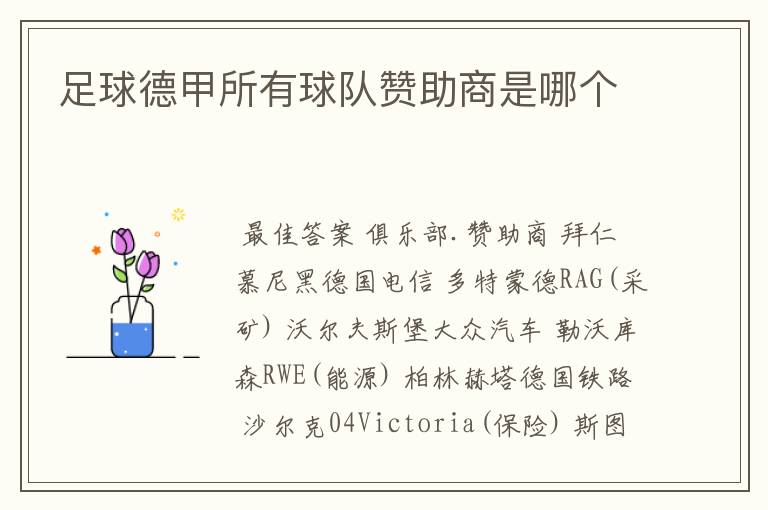 足球德甲所有球队赞助商是哪个