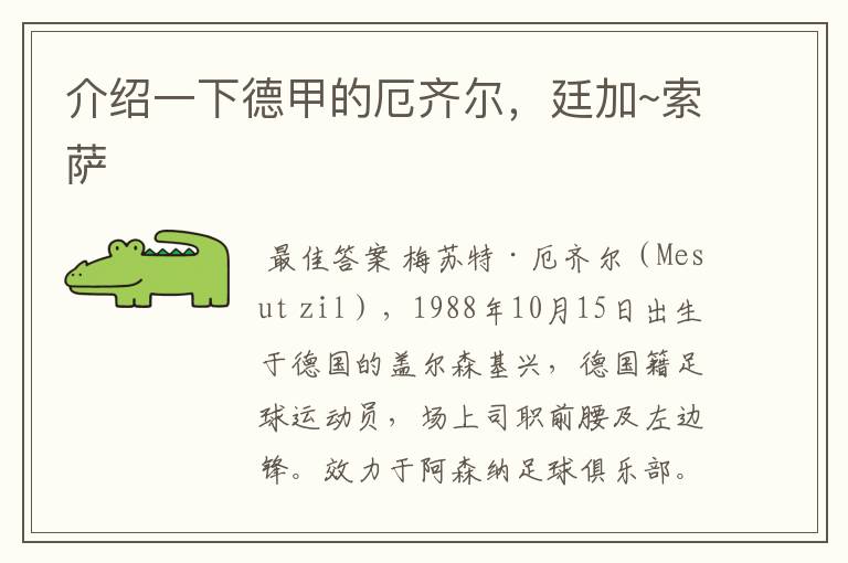 介绍一下德甲的厄齐尔,廷加~索萨