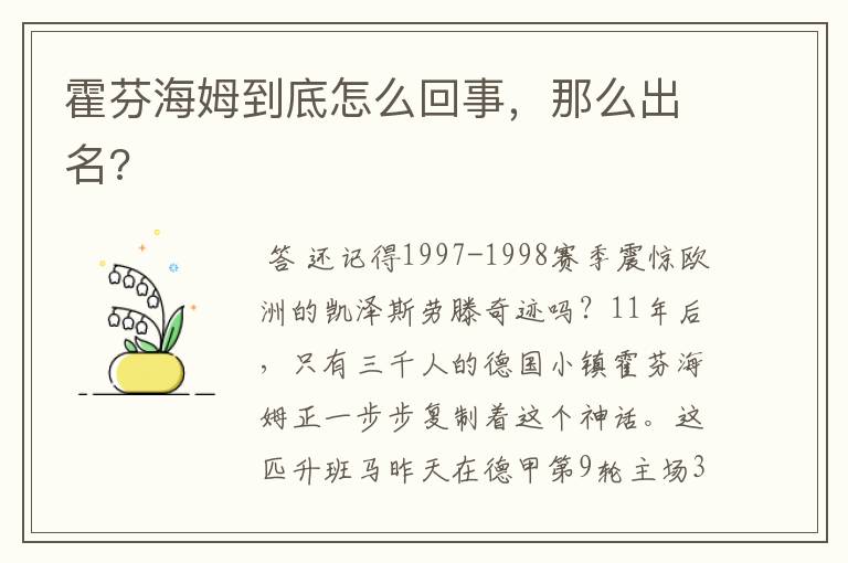霍芬海姆到底怎么回事,那么出名?