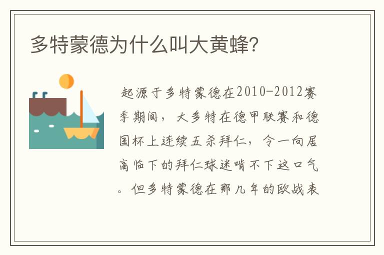 多特蒙德为什么叫大黄蜂?