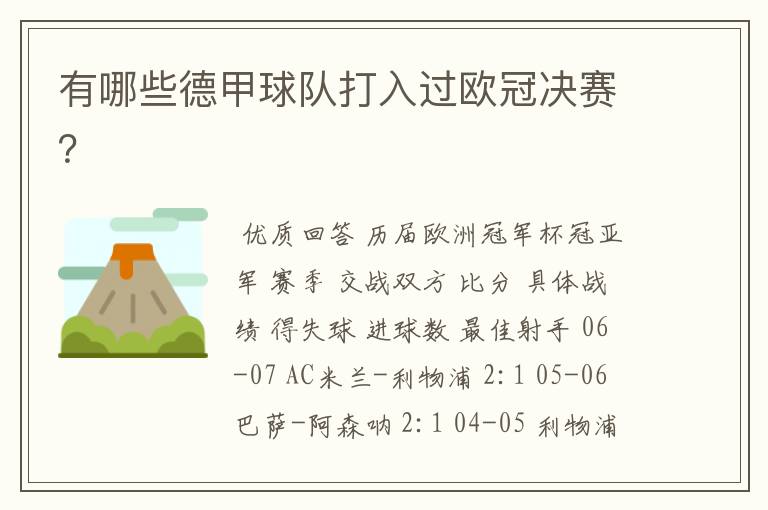 有哪些德甲球队打入过欧冠决赛?
