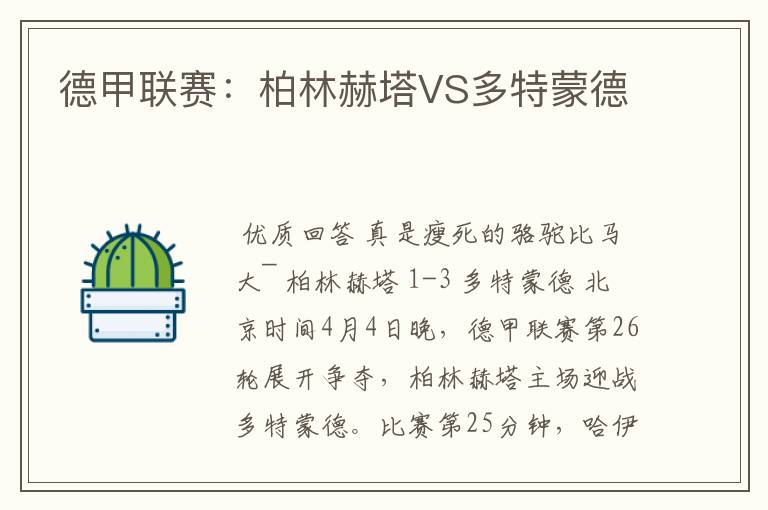 德甲联赛:柏林赫塔VS多特蒙德