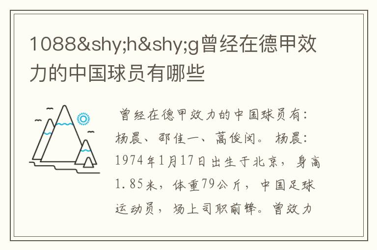 1088hg曾经在德甲效力的中国球员有哪些