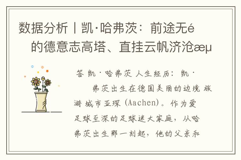 数据分析丨凯·哈弗茨:前途无量的德意志高塔、直挂云帆济沧海
