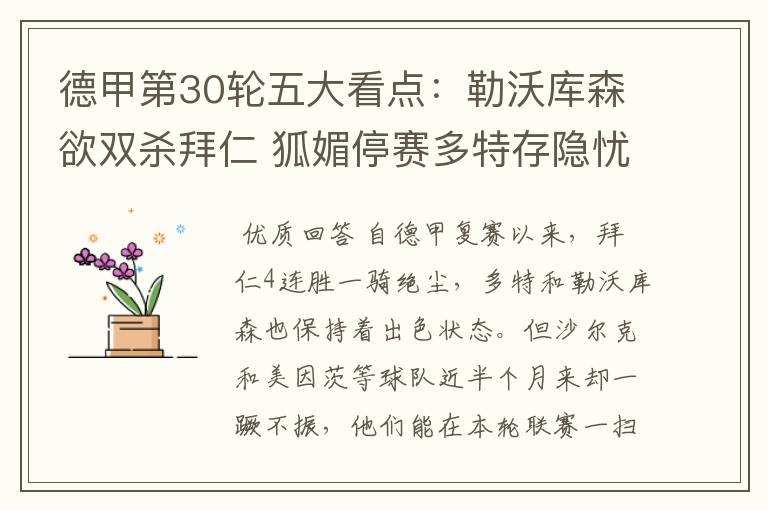 德甲第30轮五大看点:勒沃库森欲双杀拜仁 狐媚停赛多特存隐忧