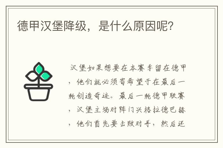德甲汉堡降级,是什么原因呢?