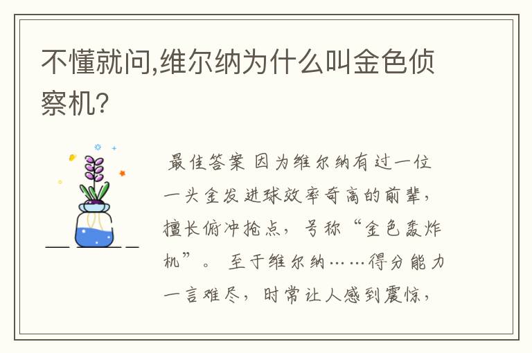 不懂就问,维尔纳为什么叫金色侦察机?